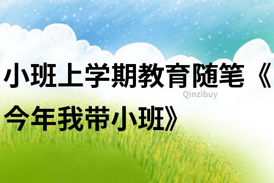 小班上學期教育隨筆《今年我帶小班》