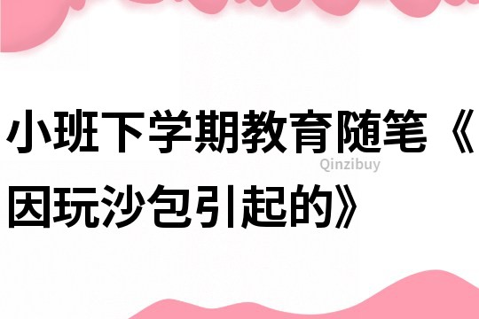 小班下學期教育隨筆《因玩沙包引起的》