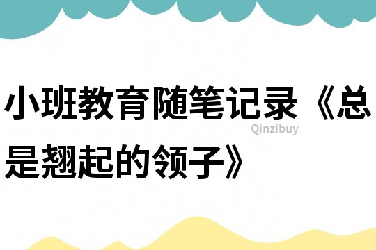 小班教育隨筆記錄《總是翹起的領子》