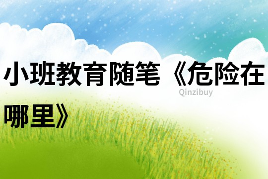 小班教育隨筆《危險在哪里》