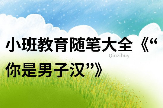 小班教育隨筆大全《“你是男子漢”》