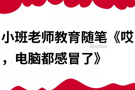 小班老師教育隨筆《哎，電腦都感冒了》