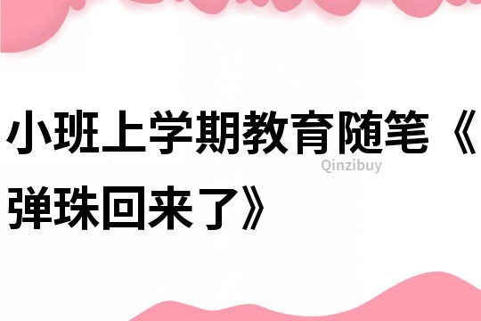 小班上學期教育隨筆《彈珠回來了》