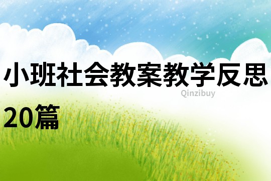 小班社會教案教學反思20篇
