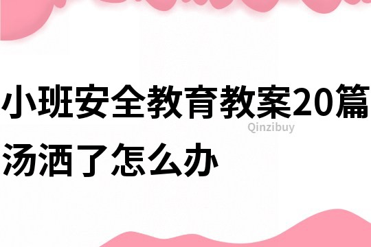 小班安全教育教案20篇湯灑了怎么辦