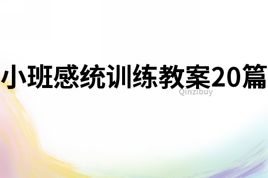 小班感統訓練教案20篇