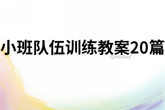 小班隊伍訓練教案20篇