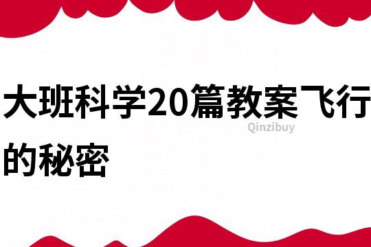 大班科學(xué)20篇教案飛行的秘密