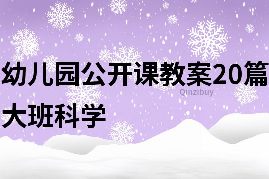 幼兒園公開課教案20篇大班科學