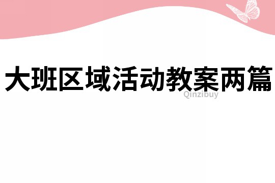 大班區域活動教案兩篇