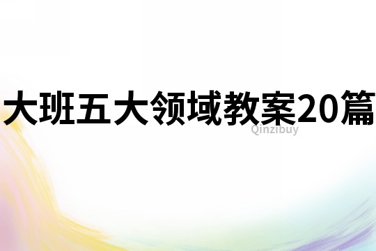 大班五大領域教案20篇