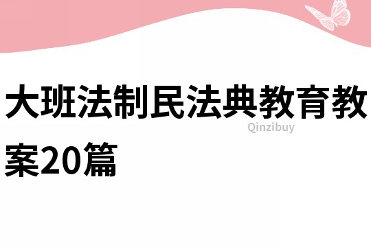 大班法制民法典教育教案20篇