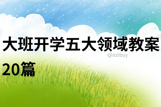 大班開學(xué)五大領(lǐng)域教案20篇