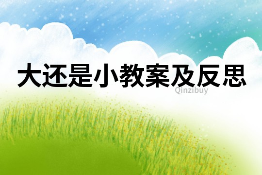 大還是小教案及反思