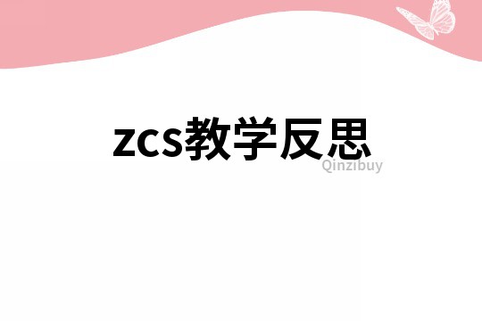 zcs教學反思