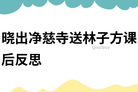 曉出凈慈寺送林子方課后反思