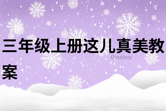 三年級上冊這兒真美教案