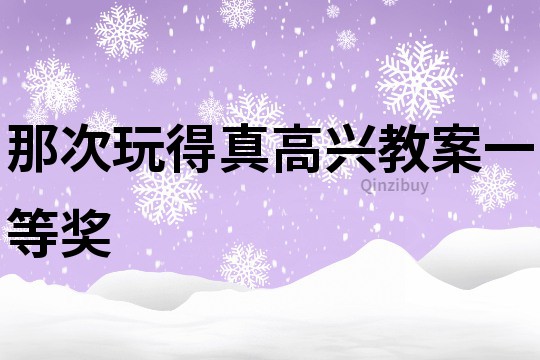 那次玩得真高興教案一等獎(jiǎng)