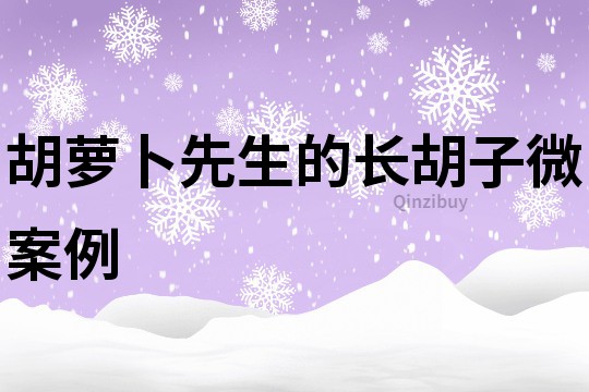 胡蘿卜先生的長胡子微案例