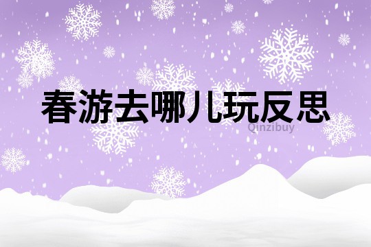 春游去哪兒玩反思