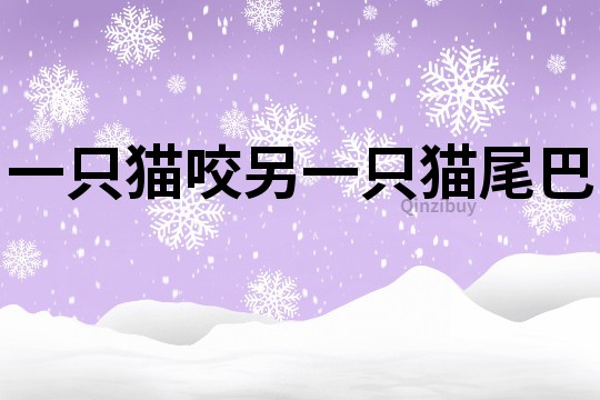 一只貓咬另一只貓尾巴