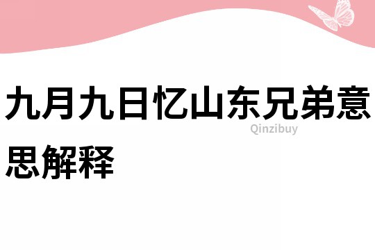 九月九日憶山東兄弟意思解釋