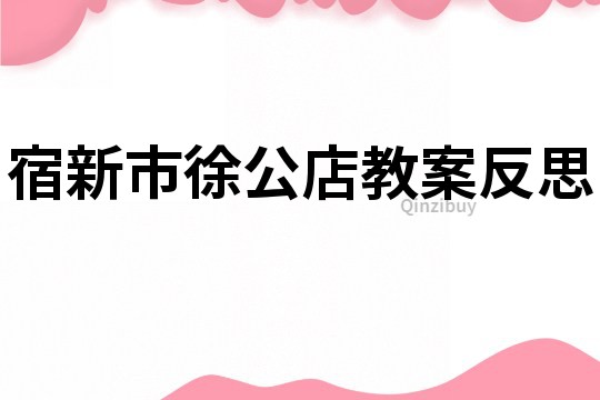 宿新市徐公店教案反思