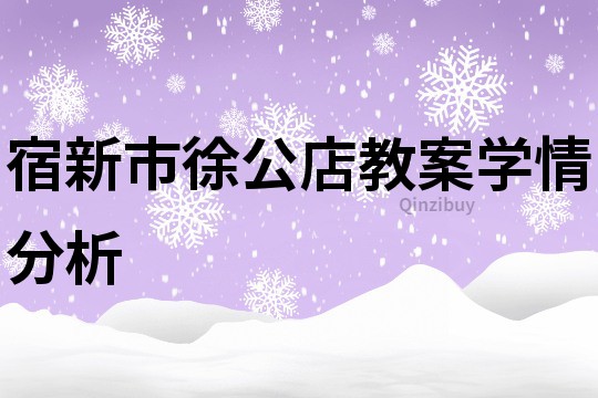 宿新市徐公店教案學情分析