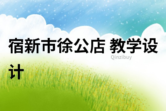 宿新市徐公店 教學設計