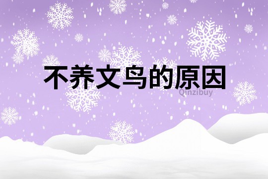 不養文鳥的原因