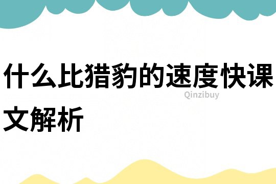 什么比獵豹的速度快課文解析