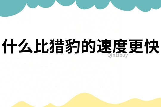 什么比獵豹的速度更快