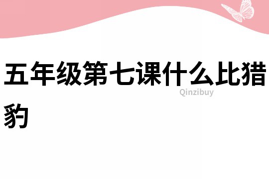 五年級第七課什么比獵豹
