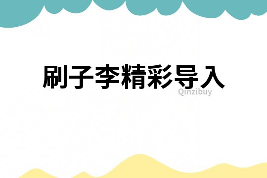 刷子李精彩導入