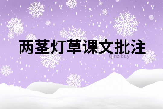 兩莖燈草課文批注