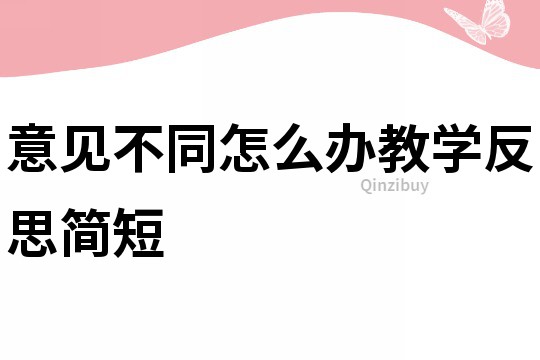 意見不同怎么辦教學反思簡短