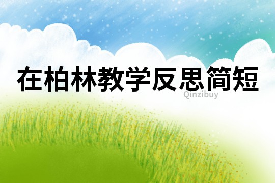 在柏林教學(xué)反思簡(jiǎn)短