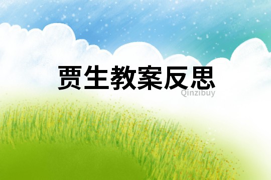 賈生教案反思