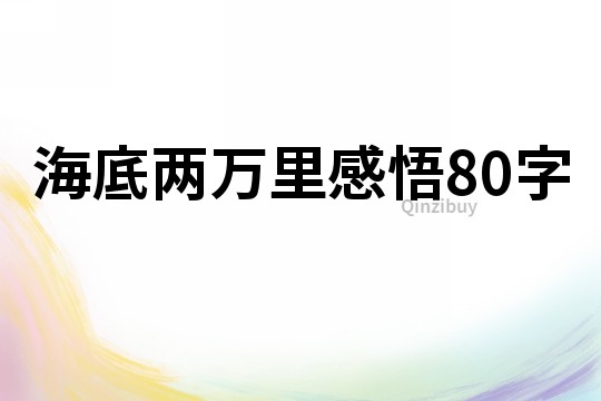 海底兩萬里感悟80字