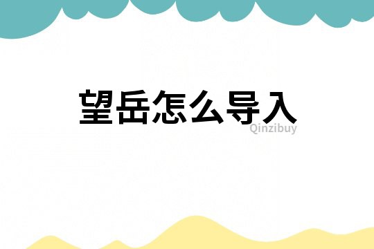 望岳怎么導入