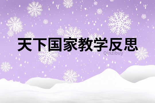 天下國家教學反思