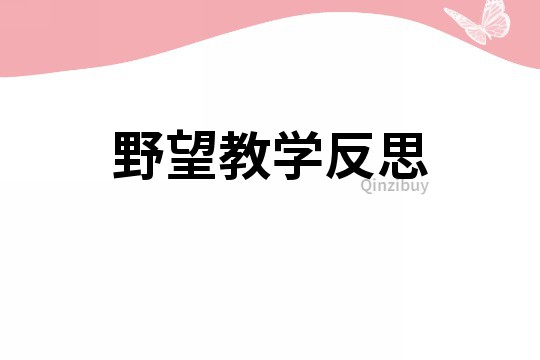 野望教學(xué)反思