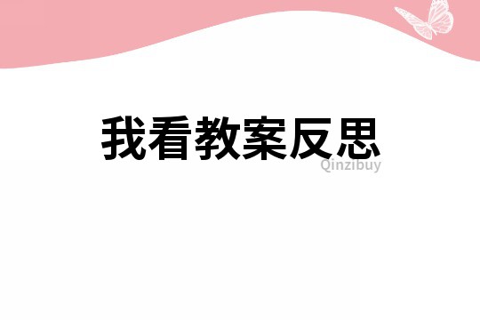 我看教案反思