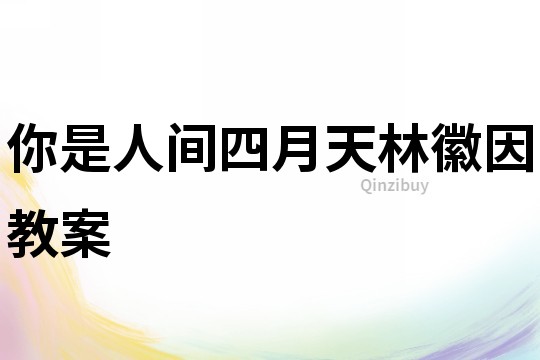 你是人間四月天林徽因教案