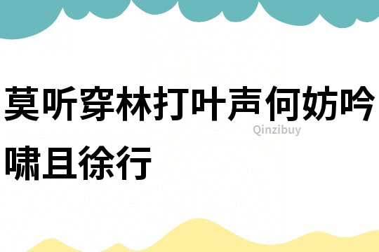 莫聽穿林打葉聲何妨吟嘯且徐行