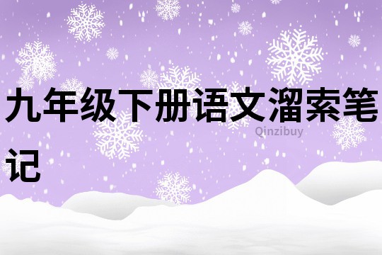 九年級下冊語文溜索筆記