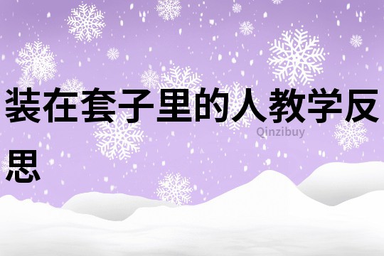 裝在套子里的人教學反思