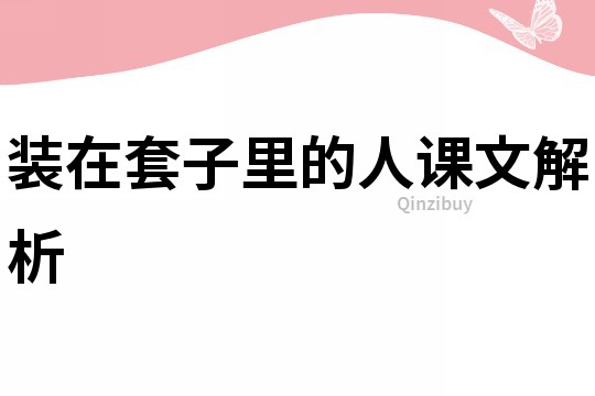 裝在套子里的人課文解析