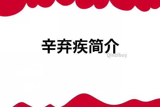 辛棄疾簡介