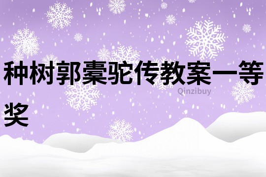 種樹郭橐駝傳教案一等獎